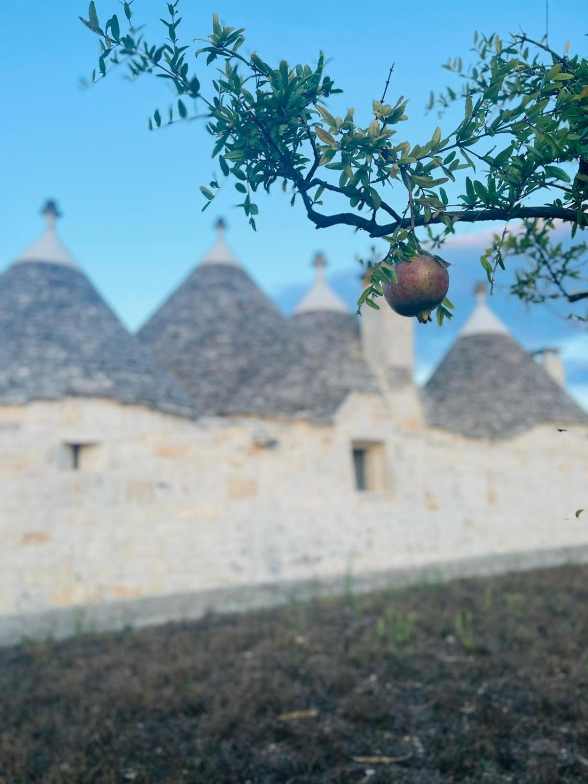 Scardino Trulli Hotell Locorotondo Exteriör bild